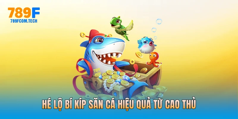 Hé lộ bí kíp săn cá hiệu quả từ cao thủ